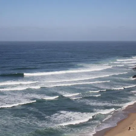 Blue Buddha Surf Hostal *