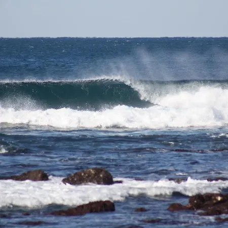 Hostal Blue Buddha Surf Ericeira